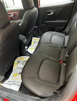 جيب رينيجيد